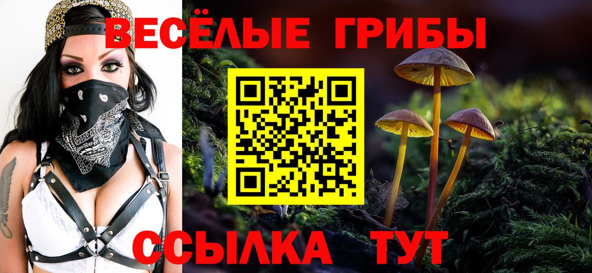 Галлюциногенные грибы прущие грибы Астрахань