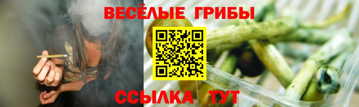 Астрахань  купить  сайты  Вход с VPN  Галлюциногенные грибы Cubensis  Псилоцибиновые грибы мицелий 